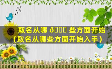 取名从哪 🐒 些方面开始（取名从哪些方面开始入手）